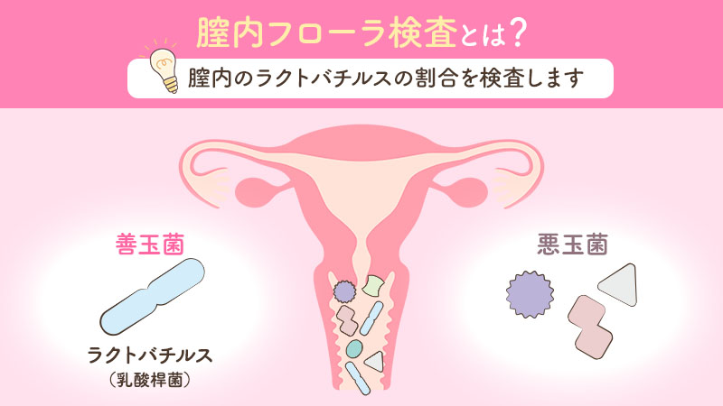 膣内フローラ検査とは?膣内のラクトバチルスの割合を検査します